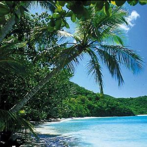 Meet your Posher, Tammi